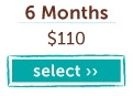 6 Months at $110