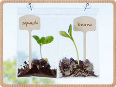 Gardening Crate