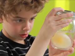 Bouncy Egg Experiment