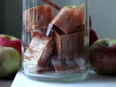 Homemade Fruit Leather and Apple Chips