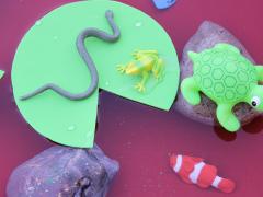 Frog Pond Water Play