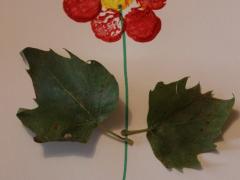 Flower Making with Corks