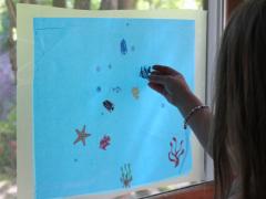 Window Aquarium