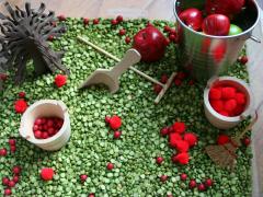 Apple Theme Sensory Bin
