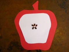 Apple Seed Stars