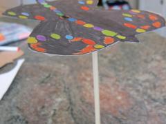 Butterfly Balancing Act
