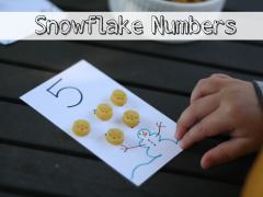 Snowflake Numbers
