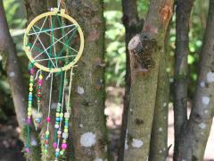 Dream Catcher