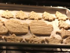 Nature-Inspired Salt Dough Ornaments