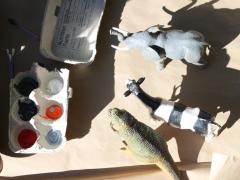 Animal Bath Time