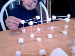 Marshmallow Sculptures