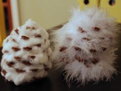Pinecone Snow Owl