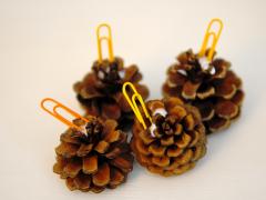 Pinecone Place Settings