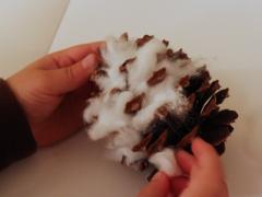 Pinecone Snow Owl