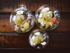 Terrarium Ornaments