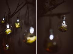 Terrarium Ornaments