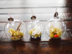 Terrarium Ornaments
