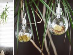 Terrarium Ornaments