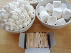 Marshmallow Sculptures