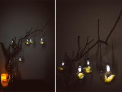 Terrarium Ornaments