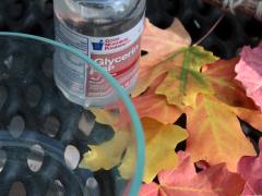 Glycerin Leaves
