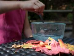 Glycerin Leaves