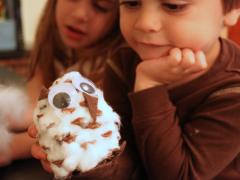 Pinecone Snow Owl