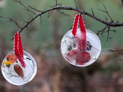 Ice Sun Catchers