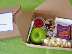 Personal Travel Snack Boxes