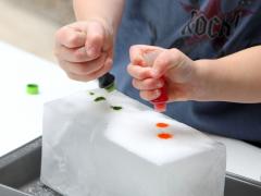 Salt Painting Ice Sculptures