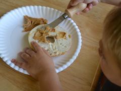 Easy Bagel Bird Feeders