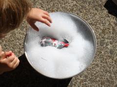 Animal Bath Time