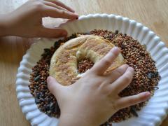 Easy Bagel Bird Feeders