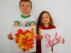 Four Seasons Tree Pictures